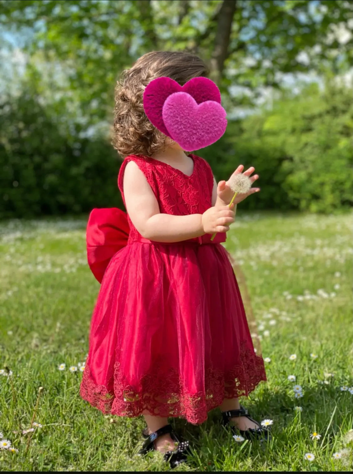 Baby Girl Lace Dresses Infant Flower Wedding Dress Elegant Princess Party Tutu Toddler Kid Birthday Baptism Formal Gala Clothing